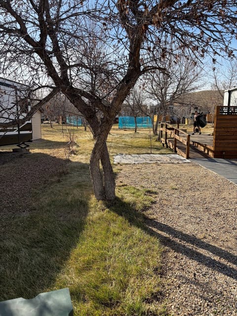 After the spring cleanup: Yard and gravel pad