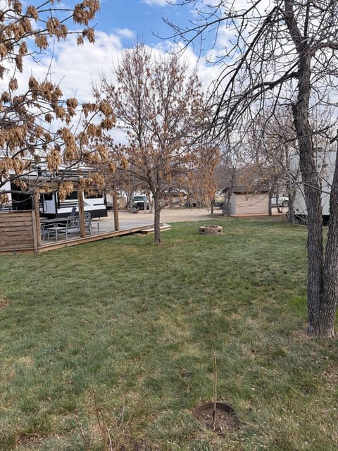 After the spring cleanup: Open lawn under the trees
